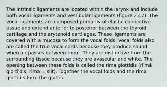 The intrinsic ligaments are located within the larynx and include both vocal ligaments and vestibular ligaments (figure 23.7). The vocal ligaments are composed primarily of elastic connective tissue and extend anterior to posterior between the thyroid cartilage and the arytenoid cartilages. These ligaments are covered with a mucosa to form the vocal folds. Vocal folds also are called the true vocal cords because they produce sound when air passes between them. They are distinctive from the surrounding tissue because they are avascular and white. The opening between these folds is called the rima glottidis (rī′mă glo-tī′dis; rima = slit). Together the vocal folds and the rima glottidis form the glottis.