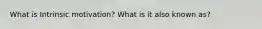 What is Intrinsic motivation? What is it also known as?