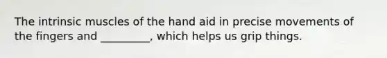 The intrinsic muscles of the hand aid in precise movements of the fingers and _________, which helps us grip things.