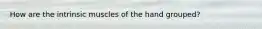 How are the intrinsic muscles of the hand grouped? ​