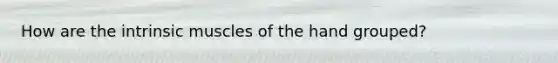How are the intrinsic muscles of the hand grouped? ​