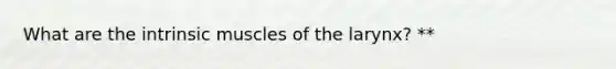 What are the intrinsic muscles of the larynx? **