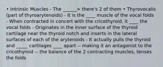 • Intrinsic Muscles - The ______> there's 2 of them • Thyrovocalis (part of thyroarytenoids) - It is the ____ muscle of the vocal folds - When contracted in concert with the cricothyroid, it ____ the vocal folds - Originates in the inner surface of the thyroid cartilage near the thyroid notch and inserts in the lateral surfaces of each of the arytenoids - It actually pulls the thyroid and _____ cartilages ____ apart -- making it an antagonist to the cricothyroid -- the balance of the 2 contracting muscles, tenses the folds