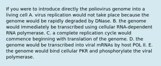 If you were to introduce directly the poliovirus genome into a living cell A. virus replication would not take place because the genome would be rapidly degraded by DNase. B. the genome would immediately be transcribed using cellular RNA-dependent RNA polymerase. C. a complete replication cycle would commence beginning with translation of the genome. D. the genome would be transcribed into viral mRNAs by host POL II. E. the genome would bind cellular PKR and phosphorylate the viral polymerase.