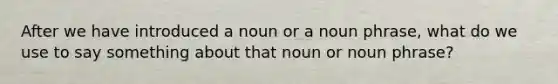 After we have introduced a noun or a noun phrase, what do we use to say something about that noun or noun phrase?