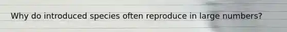 Why do introduced species often reproduce in large numbers?