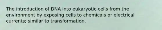 The introduction of DNA into eukaryotic cells from the environment by exposing cells to chemicals or electrical currents; similar to transformation.