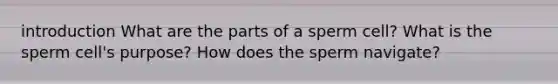 introduction What are the parts of a sperm cell? What is the sperm cell's purpose? How does the sperm navigate?