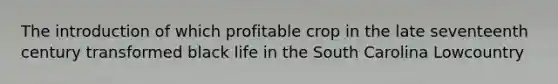 The introduction of which profitable crop in the late seventeenth century transformed black life in the South Carolina Lowcountry