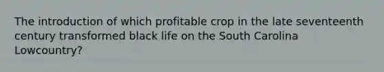 The introduction of which profitable crop in the late seventeenth century transformed black life on the South Carolina Lowcountry?