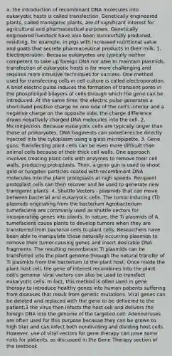 a. the introduction of recombinant DNA molecules into eukaryotic hosts is called transfection. Genetically engineered plants, called transgenic plants, are of significant interest for agricultural and pharmaceutical purposes. Genetically engineered livestock have also been successfully produced, resulting, for example, in pigs with increased nutritional value and goats that secrete pharmaceutical products in their milk. 1. Electroporation. Because eukaryotes are typically neither competent to take up foreign DNA nor able to maintain plasmids, transfection of eukaryotic hosts is far more challenging and requires more intrusive techniques for success. One method used for transfecting cells in cell culture is called electroporation. A brief electric pulse induces the formation of transient pores in the phospholipid bilayers of cells through which the gene can be introduced. At the same time, the electric pulse generates a short-lived positive charge on one side of the cell's interior and a negative charge on the opposite side; the charge difference draws negatively charged DNA molecules into the cell. 2. Microinjection. Because eukaryotic cells are typically larger than those of prokaryotes, DNA fragments can sometimes be directly injected into the cytoplasm using a glass micropipette. 3. Gene guns. Transfecting plant cells can be even more difficult than animal cells because of their thick cell walls. One approach involves treating plant cells with enzymes to remove their cell walls, producing protoplasts. Then, a gene gun is used to shoot gold or tungsten particles coated with recombinant DNA molecules into the plant protoplasts at high speeds. Recipient protoplast cells can then recover and be used to generate new transgenic plants. 4. Shuttle Vectors - plasmids that can move between bacterial and eukaryotic cells. The tumor-inducing (Ti) plasmids originating from the bacterium Agrobacterium tumefaciens are commonly used as shuttle vectors for incorporating genes into plants. In nature, the Ti plasmids of A. tumefaciens cause plants to develop tumors when they are transferred from bacterial cells to plant cells. Researchers have been able to manipulate these naturally occurring plasmids to remove their tumor-causing genes and insert desirable DNA fragments. The resulting recombinant Ti plasmids can be transferred into the plant genome through the natural transfer of Ti plasmids from the bacterium to the plant host. Once inside the plant host cell, the gene of interest recombines into the plant cell's genome. Viral vectors can also be used to transfect eukaryotic cells. In fact, this method is often used in gene therapy to introduce healthy genes into human patients suffering from diseases that result from genetic mutations. Viral genes can be deleted and replaced with the gene to be delivered to the patient;3 the virus then infects the host cell and delivers the foreign DNA into the genome of the targeted cell. Adenoviruses are often used for this purpose because they can be grown to high titer and can infect both nondividing and dividing host cells. However, use of viral vectors for gene therapy can pose some risks for patients, as discussed in the Gene Therapy section of the textbook