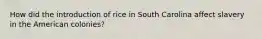 How did the introduction of rice in South Carolina affect slavery in the American colonies?