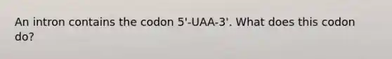 An intron contains the codon 5'-UAA-3'. What does this codon do?