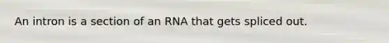 An intron is a section of an RNA that gets spliced out.