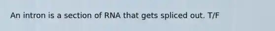 An intron is a section of RNA that gets spliced out. T/F