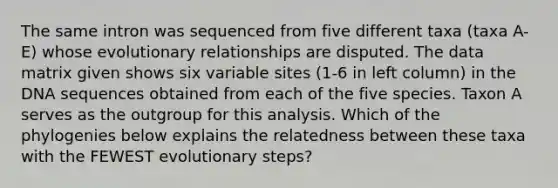 The same intron was sequenced from five different taxa (taxa A-E) whose evolutionary relationships are disputed. The data matrix given shows six variable sites (1-6 in left column) in the DNA sequences obtained from each of the five species. Taxon A serves as the outgroup for this analysis. Which of the phylogenies below explains the relatedness between these taxa with the FEWEST evolutionary steps?