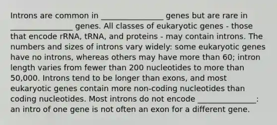 Introns are common in ________________ genes but are rare in ________________ genes. All classes of eukaryotic genes - those that encode rRNA, tRNA, and proteins - may contain introns. The numbers and sizes of introns vary widely: some eukaryotic genes have no introns, whereas others may have <a href='https://www.questionai.com/knowledge/keWHlEPx42-more-than' class='anchor-knowledge'>more than</a> 60; intron length varies from fewer than 200 nucleotides to more than 50,000. Introns tend to be longer than exons, and most eukaryotic genes contain more non-coding nucleotides than coding nucleotides. Most introns do not encode _______________: an intro of one gene is not often an exon for a different gene.