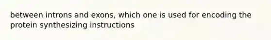 between introns and exons, which one is used for encoding the protein synthesizing instructions