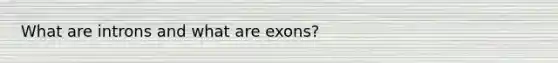 What are introns and what are exons?