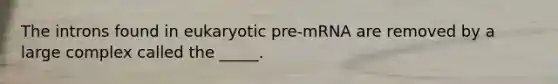 The introns found in eukaryotic pre-mRNA are removed by a large complex called the _____.