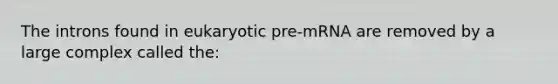 The introns found in eukaryotic pre-mRNA are removed by a large complex called the: