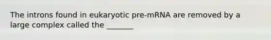 The introns found in eukaryotic pre-mRNA are removed by a large complex called the _______