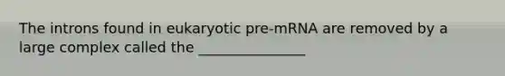 The introns found in eukaryotic pre-mRNA are removed by a large complex called the _______________