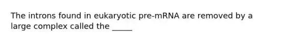 The introns found in eukaryotic pre-mRNA are removed by a large complex called the _____