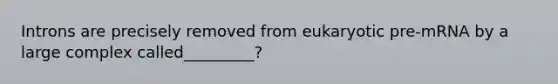 Introns are precisely removed from eukaryotic pre-mRNA by a large complex called_________?