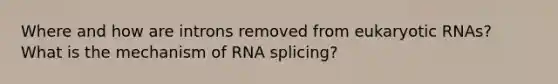 Where and how are introns removed from eukaryotic RNAs? What is the mechanism of RNA splicing?