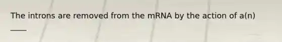 The introns are removed from the mRNA by the action of a(n) ____