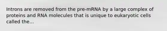 Introns are removed from the pre-mRNA by a large complex of proteins and RNA molecules that is unique to eukaryotic cells called the...