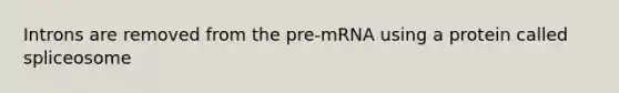 Introns are removed from the pre-mRNA using a protein called spliceosome