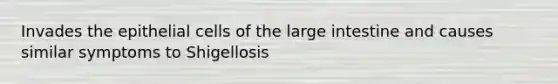 Invades the epithelial cells of the large intestine and causes similar symptoms to Shigellosis