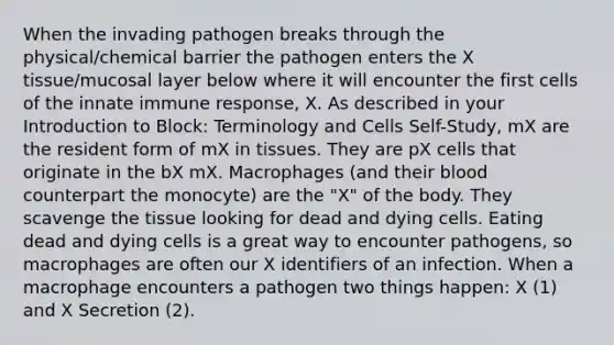 When the invading pathogen breaks through the physical/chemical barrier the pathogen enters the X tissue/mucosal layer below where it will encounter the first cells of the innate immune response, X. As described in your Introduction to Block: Terminology and Cells Self-Study, mX are the resident form of mX in tissues. They are pX cells that originate in the bX mX. Macrophages (and their blood counterpart the monocyte) are the "X" of the body. They scavenge the tissue looking for dead and dying cells. Eating dead and dying cells is a great way to encounter pathogens, so macrophages are often our X identifiers of an infection. When a macrophage encounters a pathogen two things happen: X (1) and X Secretion (2).