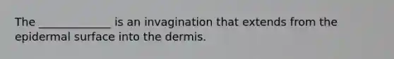 The _____________ is an invagination that extends from the epidermal surface into the dermis.