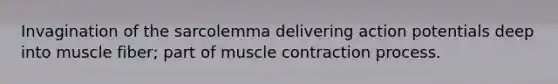 Invagination of the sarcolemma delivering action potentials deep into muscle fiber; part of <a href='https://www.questionai.com/knowledge/k0LBwLeEer-muscle-contraction' class='anchor-knowledge'>muscle contraction</a> process.