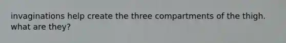 invaginations help create the three compartments of the thigh. what are they?
