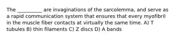 The __________ are invaginations of the sarcolemma, and serve as a rapid communication system that ensures that every myofibril in the muscle fiber contacts at virtually the same time. A) T tubules B) thin filaments C) Z discs D) A bands