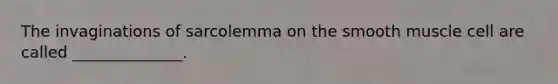 The invaginations of sarcolemma on the smooth muscle cell are called ______________.