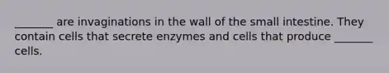 _______ are invaginations in the wall of the small intestine. They contain cells that secrete enzymes and cells that produce _______ cells.