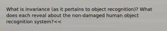 What is invariance (as it pertains to object recognition)? What does each reveal about the non-damaged human object recognition system?<<<maybe answering this ??