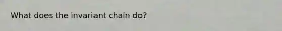 What does the invariant chain do?