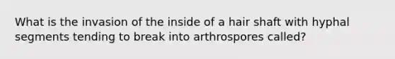 What is the invasion of the inside of a hair shaft with hyphal segments tending to break into arthrospores called?