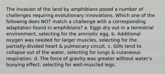 The invasion of the land by amphibians posed a number of challenges requiring evolutionary innovations. Which one of the following does NOT match a challenge with a corresponding adaptation found in amphibians? a. Eggs dry out in a terrestrial environment, selecting for the amniotic egg. b. Additional oxygen was needed for larger muscles, selecting for the partially-divided heart & pulmonary circuit. c. Gills tend to collapse out of the water, selecting for lungs & cutaneous respiration. d. The force of gravity was greater without water's buoying effect, selecting for well-muscled legs.