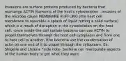 Invasions are surface proteins produced by bacteria that rearrange ACTIN filaments of the host's cytoskeleton. -invasins of the microbe cause MEMBRANE RUFFLING (the host cell membrane to resemble a splash of liquid hitting a solid surface) which is a result of disruption in the cytoskeleton on the host cell. -once inside the cell certain bacteria can use ACTIN to propel themselves through the host cell cytoplasm and from one to host cell to another. (the bacteria use the condensation of actin on one end of it to propel through the cytoplasm. Ex: Shigella and Listeria *side note- bacteria can manipulate aspects of the human body to get what they want