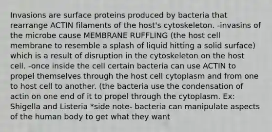 Invasions are surface proteins produced by bacteria that rearrange ACTIN filaments of the host's cytoskeleton. -invasins of the microbe cause MEMBRANE RUFFLING (the host cell membrane to resemble a splash of liquid hitting a solid surface) which is a result of disruption in the cytoskeleton on the host cell. -once inside the cell certain bacteria can use ACTIN to propel themselves through the host cell cytoplasm and from one to host cell to another. (the bacteria use the condensation of actin on one end of it to propel through the cytoplasm. Ex: Shigella and Listeria *side note- bacteria can manipulate aspects of the human body to get what they want