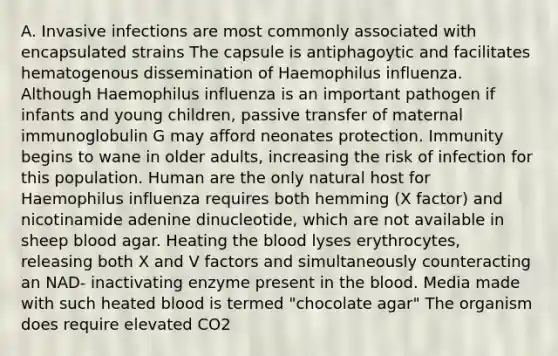 A. Invasive infections are most commonly associated with encapsulated strains The capsule is antiphagoytic and facilitates hematogenous dissemination of Haemophilus influenza. Although Haemophilus influenza is an important pathogen if infants and young children, passive transfer of maternal immunoglobulin G may afford neonates protection. Immunity begins to wane in older adults, increasing the risk of infection for this population. Human are the only natural host for Haemophilus influenza requires both hemming (X factor) and nicotinamide adenine dinucleotide, which are not available in sheep blood agar. Heating the blood lyses erythrocytes, releasing both X and V factors and simultaneously counteracting an NAD- inactivating enzyme present in the blood. Media made with such heated blood is termed "chocolate agar" The organism does require elevated CO2