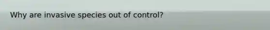 Why are invasive species out of control?