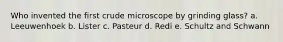 Who invented the first crude microscope by grinding glass? a. Leeuwenhoek b. Lister c. Pasteur d. Redi e. Schultz and Schwann